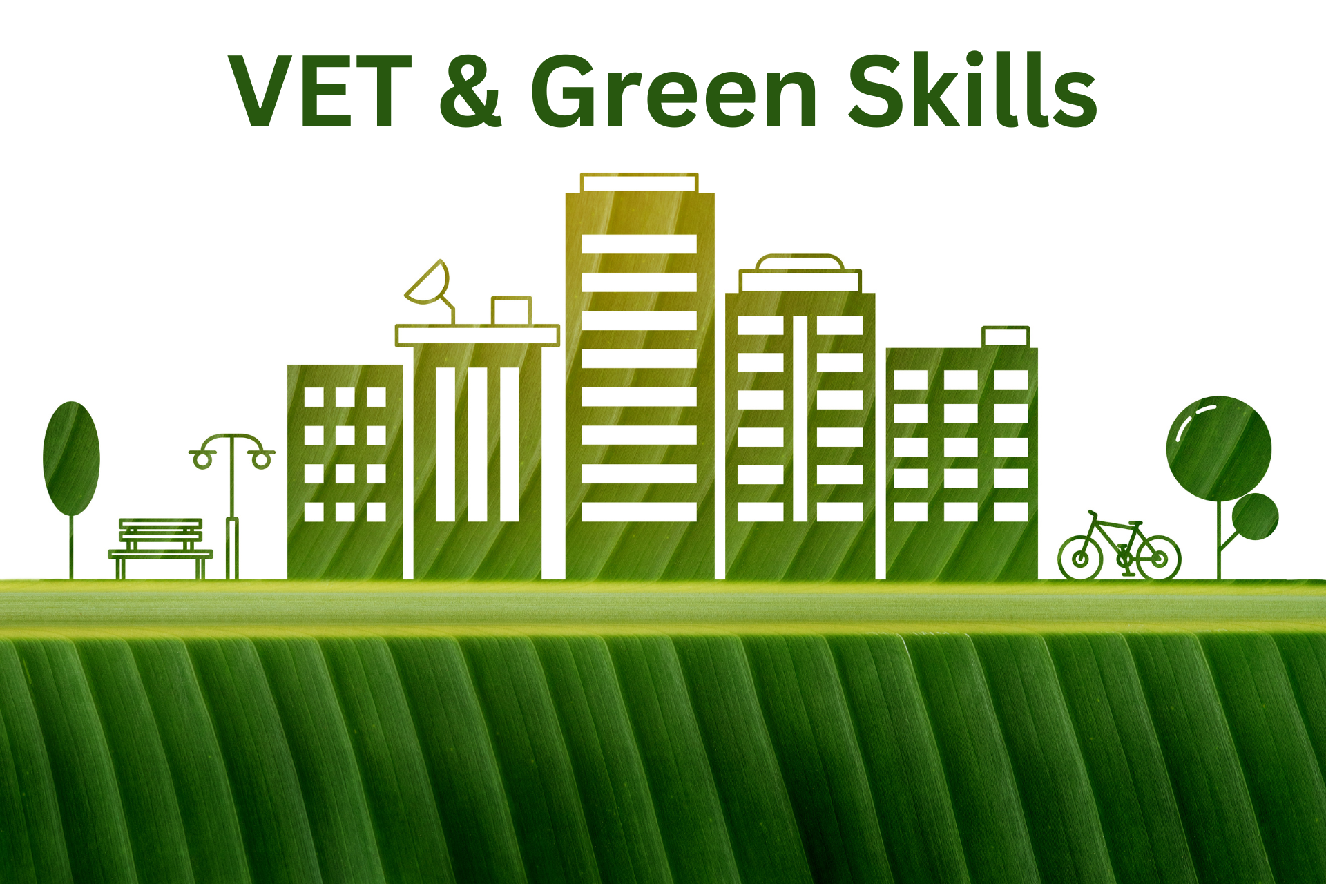 VET Curricula revision and training of teachers on green and digital skills